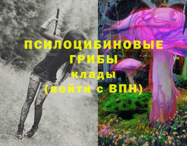 герыч Михайловск
