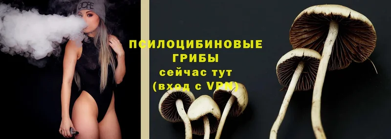 Галлюциногенные грибы MAGIC MUSHROOMS Приволжск